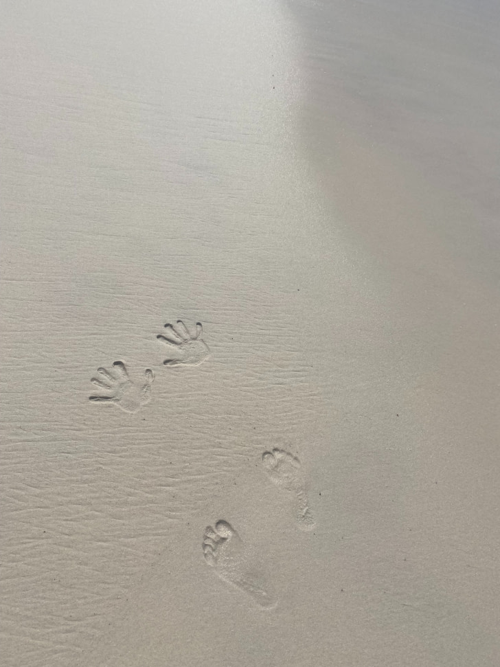 plage avec traces de mains